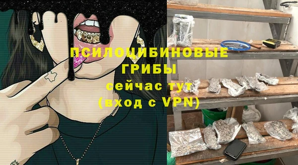 гашиш Богданович